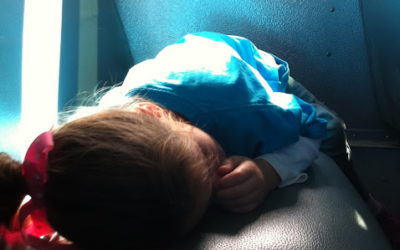 Saturday Senses – The Sense of Life