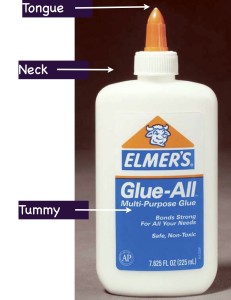 Anatomy of a Glue Bottle