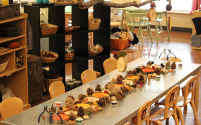 Nature Inspired Provocations – Rosa Parks ECEC