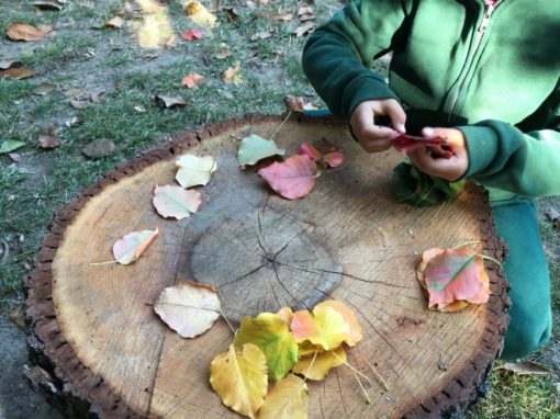 How to Set-Up A Simple Outdoor Math Center - Fairy Dust Teaching