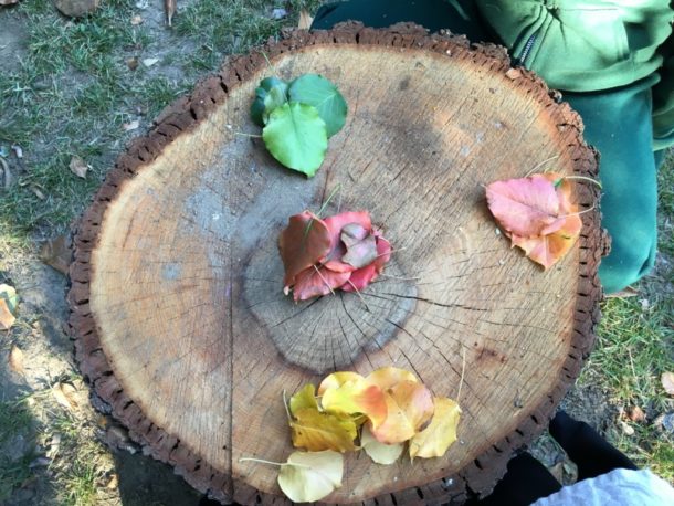 How to Set-Up A Simple Outdoor Math Center - Fairy Dust Teaching