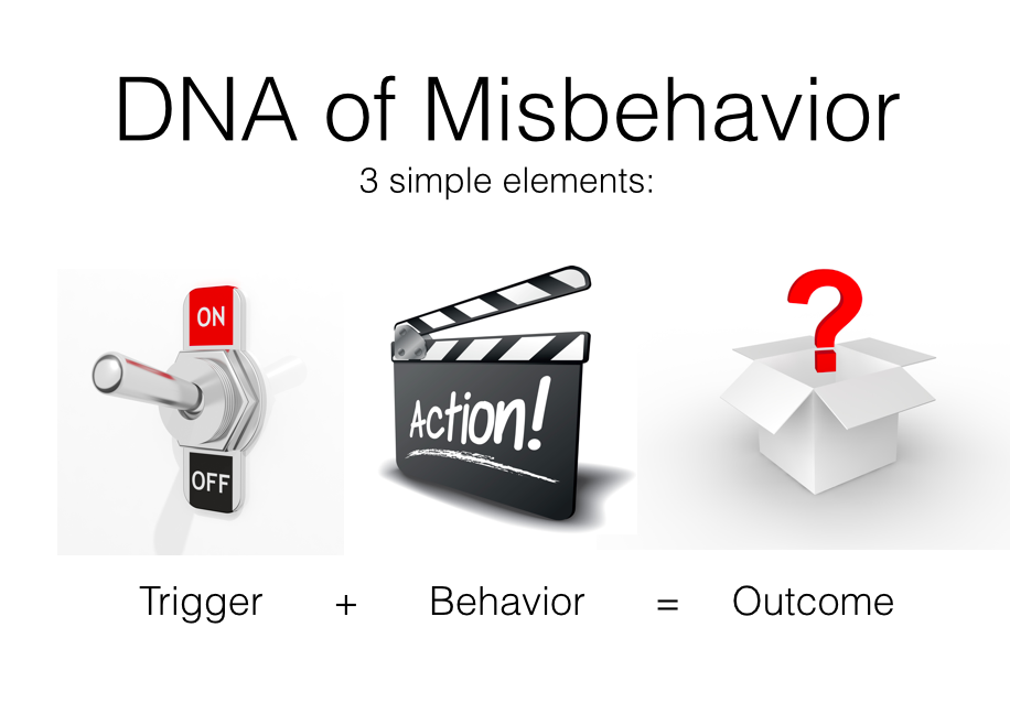 DNA of Misbehavior Fairy Dust Teaching